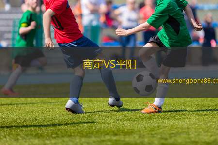 南定VS平陽