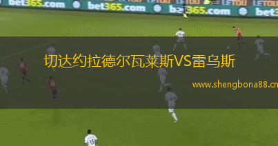 切達約拉德爾瓦萊斯VS雷烏斯