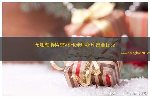 布加勒斯特星VSFK米耶爾庫雷亞丘克