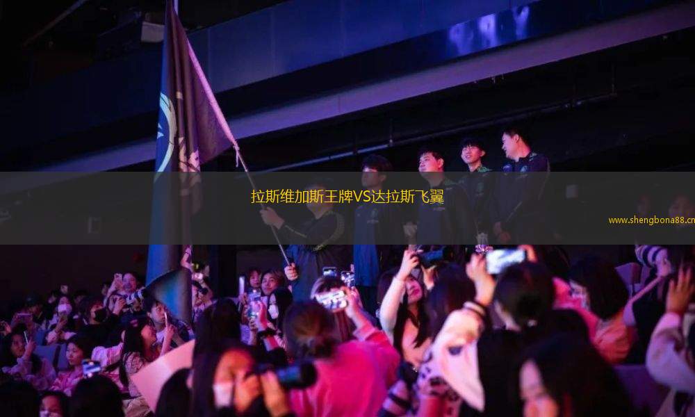 拉斯維加斯王牌VS達拉斯飛翼