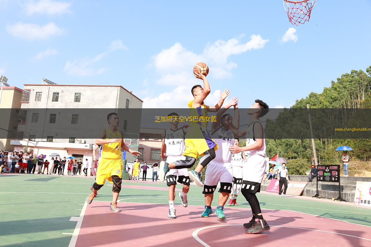 芝加哥天空VS巴西女籃