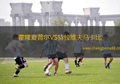 霍隆夏普爾VS特拉維夫馬卡比