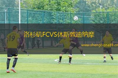 洛杉磯FCVS休斯敦迪納摩