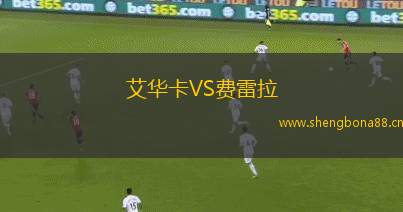 艾華卡VS費(fèi)雷拉