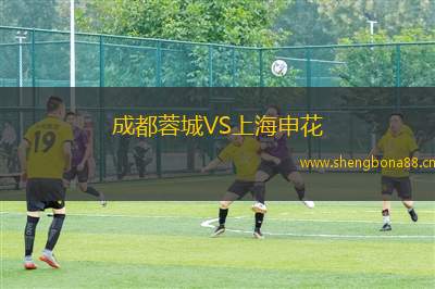 成都蓉城VS上海申花