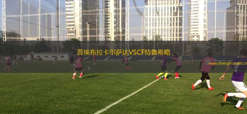 普埃布拉卡爾薩達VSCF特魯希略