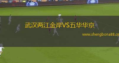 武漢兩江金岸VS五華華京