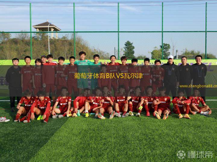 葡萄牙體育B隊VS瓦爾津