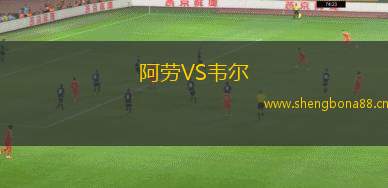 阿勞VS韋爾