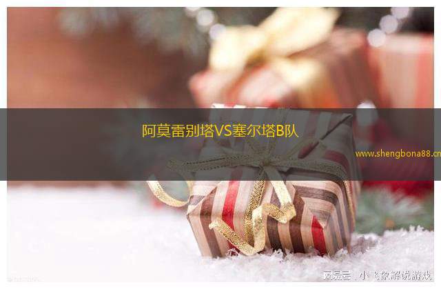 阿莫雷別塔VS塞爾塔B隊(duì)