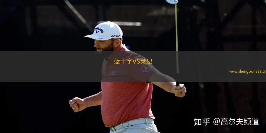 藍(lán)十字VS萊昂