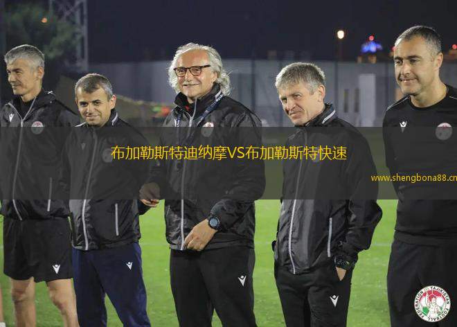 布加勒斯特迪納摩VS布加勒斯特快速