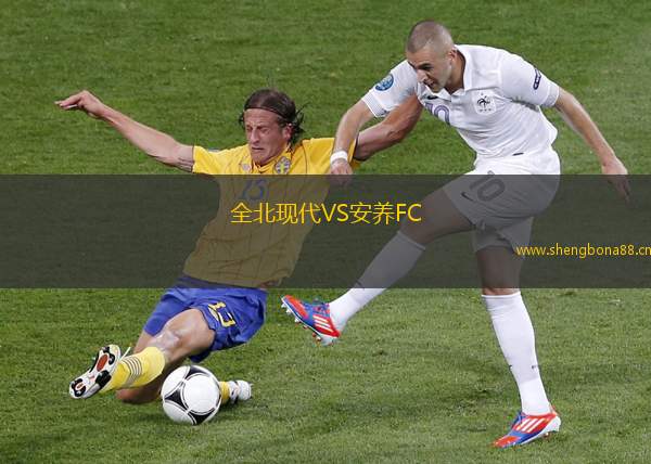 全北現(xiàn)代VS安養(yǎng)FC
