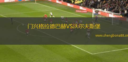 門(mén)興格拉德巴赫VS沃爾夫斯堡