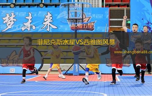 菲尼克斯水星VS西雅圖風(fēng)暴