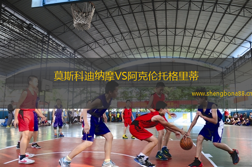 莫斯科迪納摩VS阿克倫托格里蒂