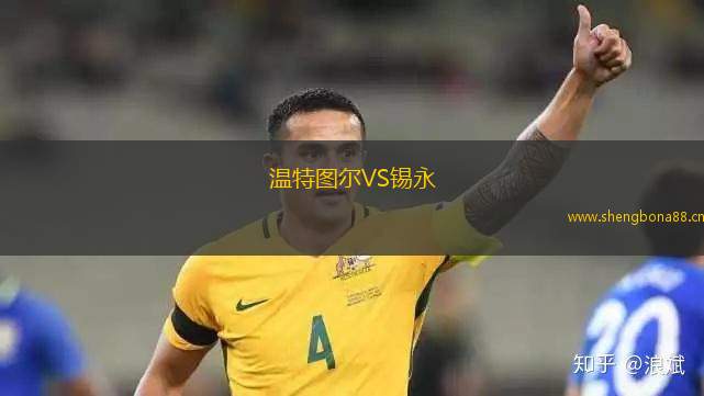 溫特圖爾VS錫永