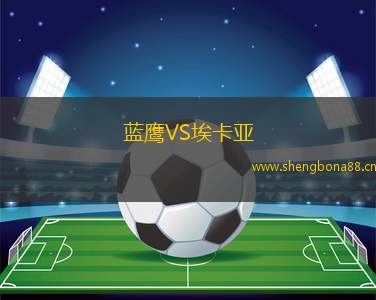 藍(lán)鷹VS?？▉? title=