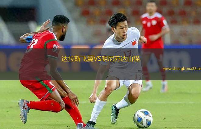 達(dá)拉斯飛翼VS明尼蘇達(dá)山貓