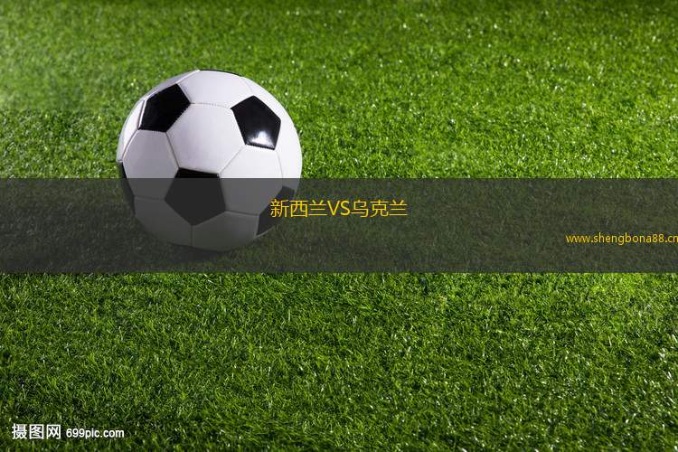 新西蘭VS烏克蘭