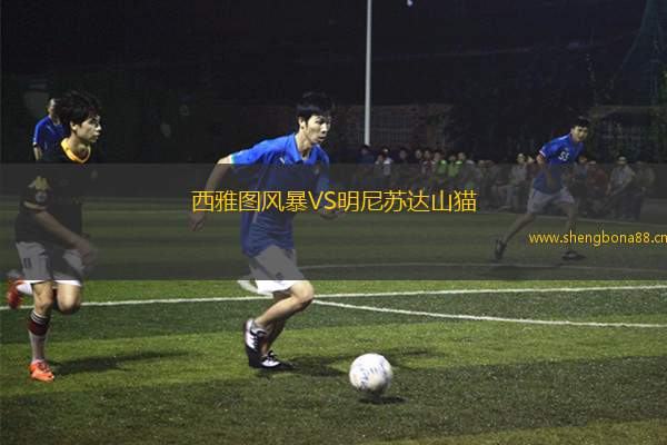 西雅圖風(fēng)暴VS明尼蘇達(dá)山貓
