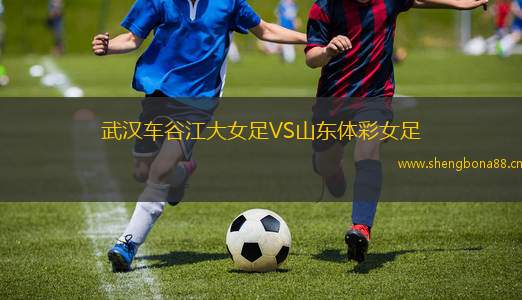 武漢車谷江大女足VS山東體彩女足