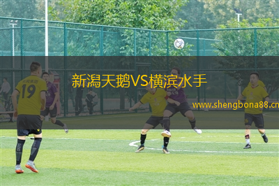 新潟天鵝VS橫濱水手