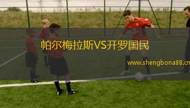 帕爾梅拉斯VS開羅國民