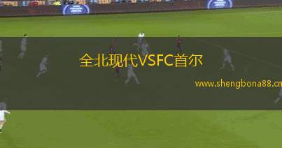 全北現(xiàn)代VSFC首爾