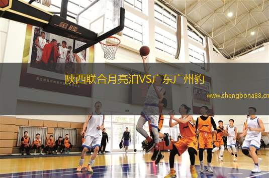 陜西聯合月亮泊VS廣東廣州豹