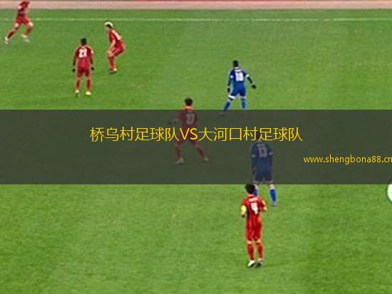 橋烏村足球隊VS大河口村足球隊