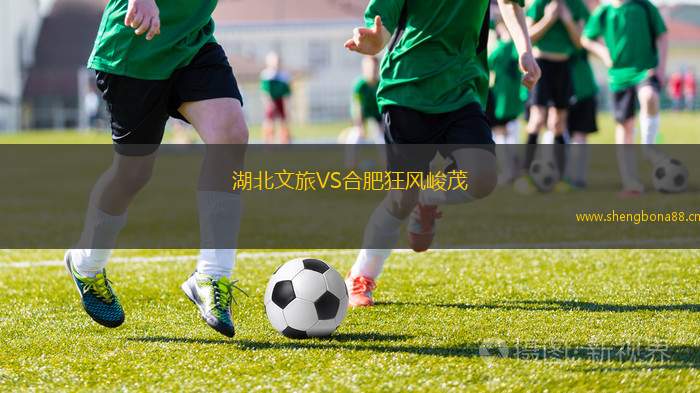 湖北文旅VS合肥狂風(fēng)峻茂