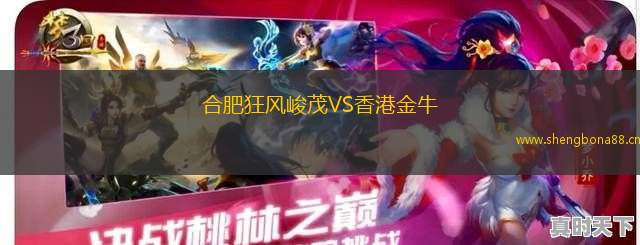 合肥狂風(fēng)峻茂VS香港金牛