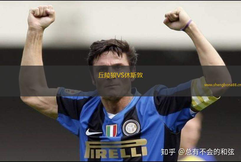 丘陵狼VS休斯敦