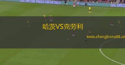 哈茨VS克勞利
