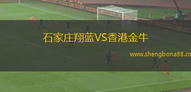 石家莊翔藍VS香港金牛