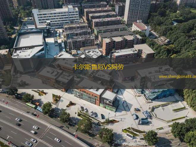 卡爾斯魯厄VS阿勞