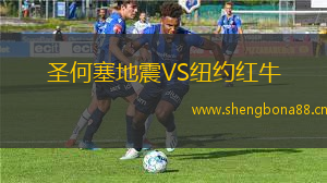 圣何塞地震VS紐約紅牛