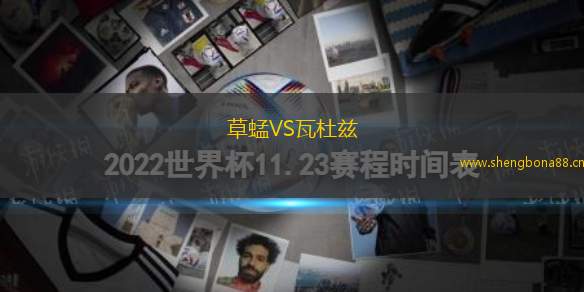 草蜢VS瓦杜茲