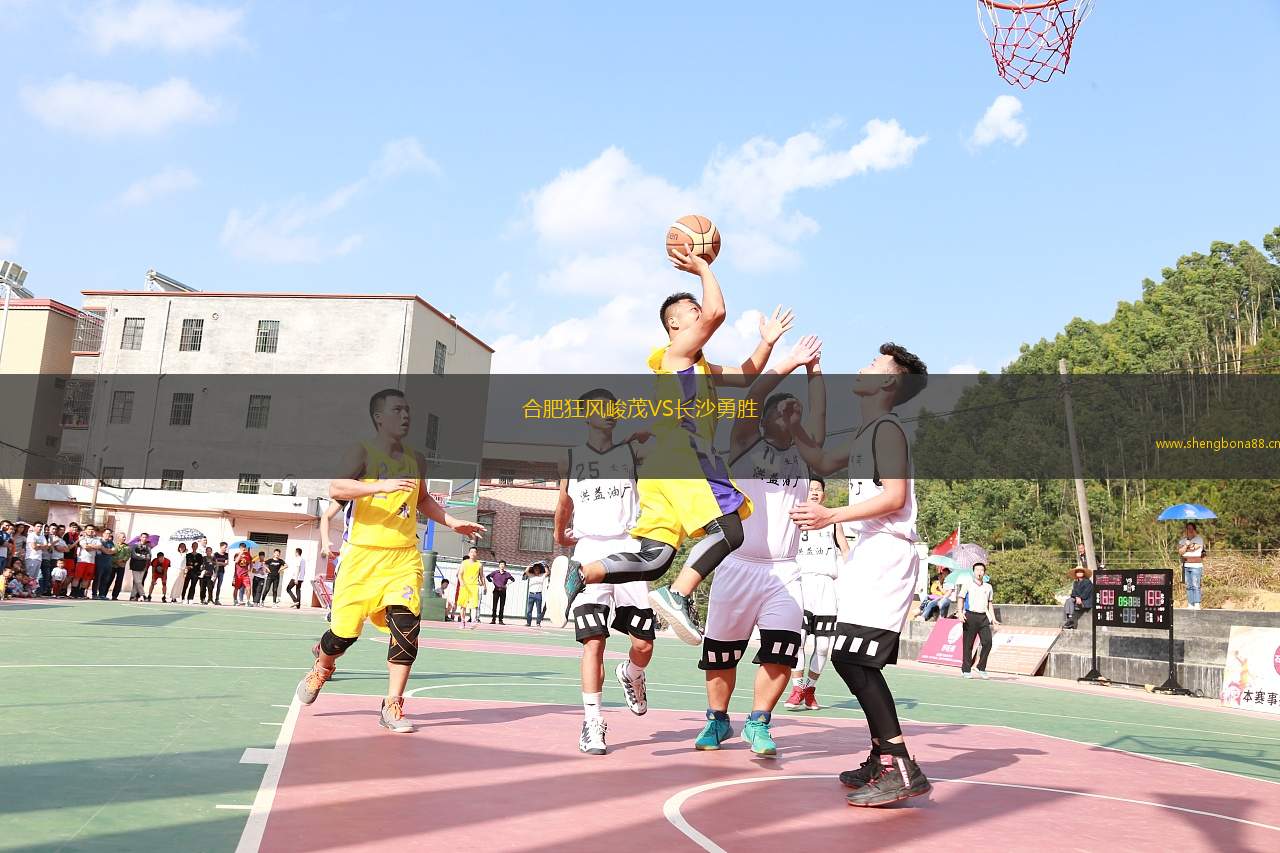 合肥狂風(fēng)峻茂VS長(zhǎng)沙勇勝