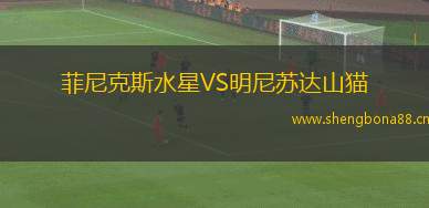 菲尼克斯水星VS明尼蘇達(dá)山貓