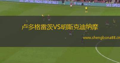 盧多格雷茨VS明斯克迪納摩