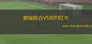 費(fèi)城聯(lián)合VS紐約紅牛