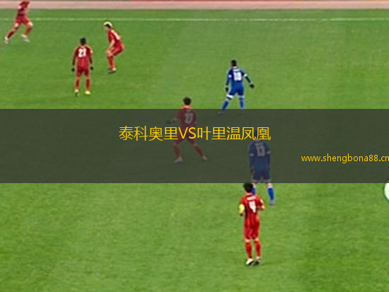 泰科奧里VS葉里溫鳳凰