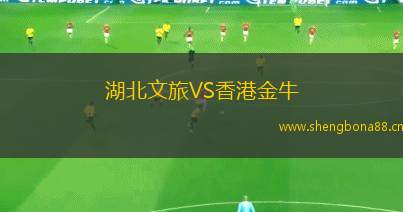 湖北文旅VS香港金牛