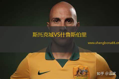 斯托克城VS什魯斯伯里