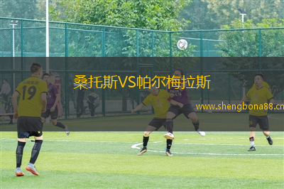 桑托斯VS帕爾梅拉斯