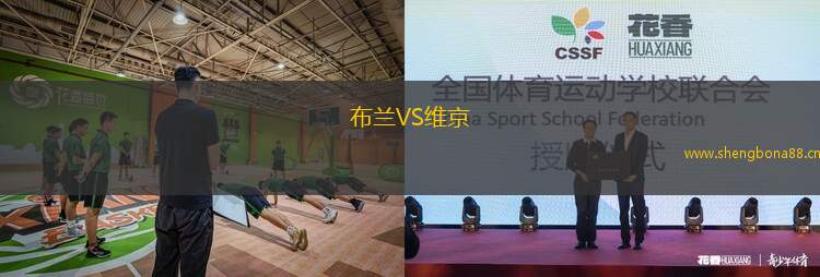 布蘭VS維京