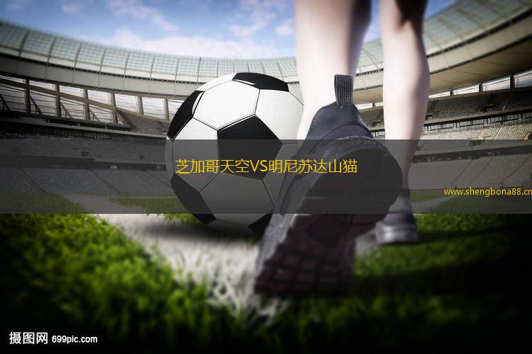 芝加哥天空VS明尼蘇達(dá)山貓
