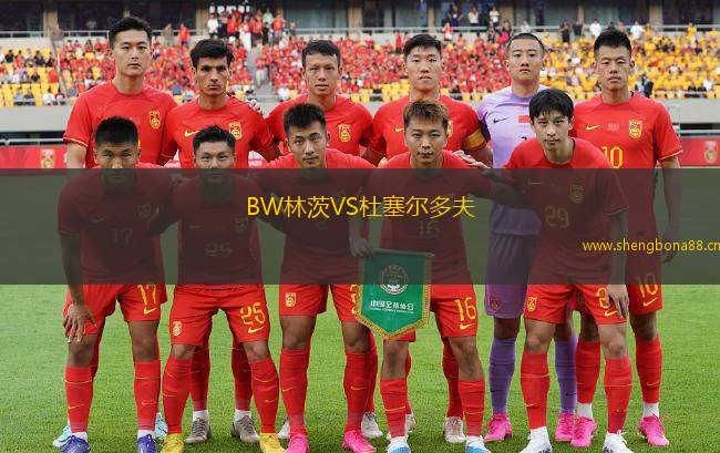 BW林茨VS杜塞爾多夫